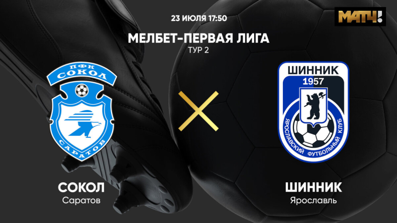 Сокол &mdash; Шинник